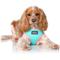 Show in main carousel: DOOG Step In Neoflex Rin Tin Tin Neon Dog Harness, Teal/Pink, Small: 12.5 to 17-in chest slide 3 of 5