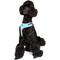 Show in main carousel: DOOG Step In Neoflex Rin Tin Tin Neon Dog Harness, Teal/Pink, Small: 12.5 to 17-in chest slide 5 of 5
