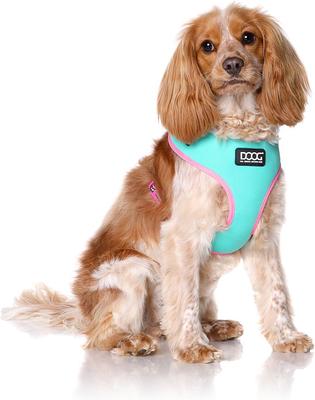 Show full view: DOOG Step In Neoflex Rin Tin Tin Neon Dog Harness, Teal/Pink, X-Large: 22.5 to 31.5-in chest slide 5 of 6