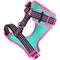 Show in main carousel: DOOG Step In Neoflex Rin Tin Tin Neon Dog Harness, Teal/Pink, X-Large: 22.5 to 31.5-in chest slide 3 of 6