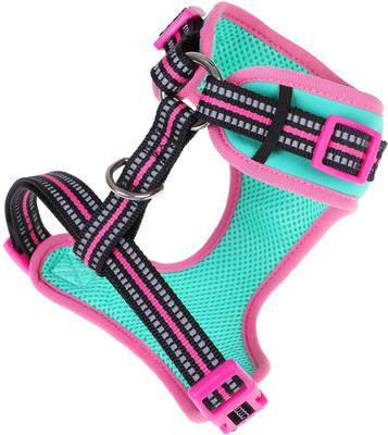 Show full view: DOOG Step In Neoflex Rin Tin Tin Neon Dog Harness, Teal/Pink, X-Large: 22.5 to 31.5-in chest slide 3 of 6