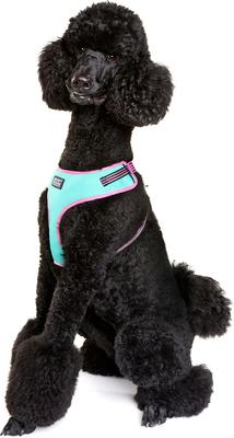 Show full view: DOOG Step In Neoflex Rin Tin Tin Neon Dog Harness, Teal/Pink, X-Large: 22.5 to 31.5-in chest slide 6 of 6