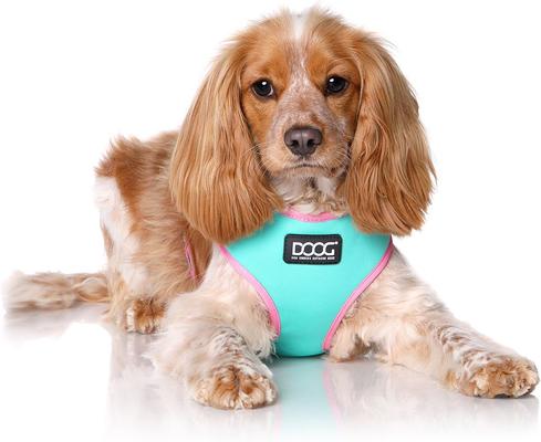 Show full view: DOOG Step In Neoflex Rin Tin Tin Neon Dog Harness, Teal/Pink, X-Small: 11 to 13-in chest slide 3 of 5