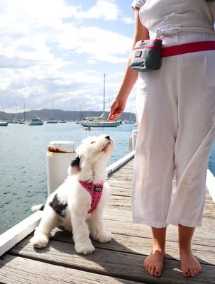 Show full view: DOOG Treat & Training Dog Pouch, Grey/Pink, Large slide 5 of 5