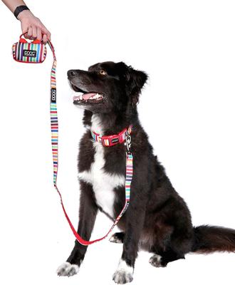 Show full view: DOOG Walkie Dog Pouch Rin Tin Tin Neon Dog Poop Bag Dispenser, Teal/Pink slide 6 of 7