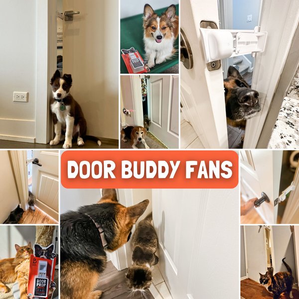 Door Buddy Dog & Cat Door Prop, White