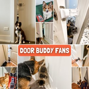 Door Buddy Dog & Cat Door Prop, White