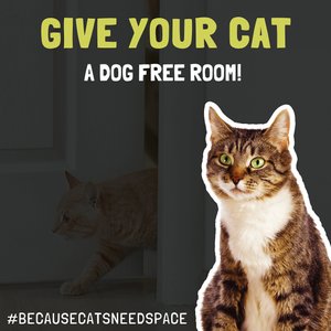 Door Buddy Door Latch, Caramel