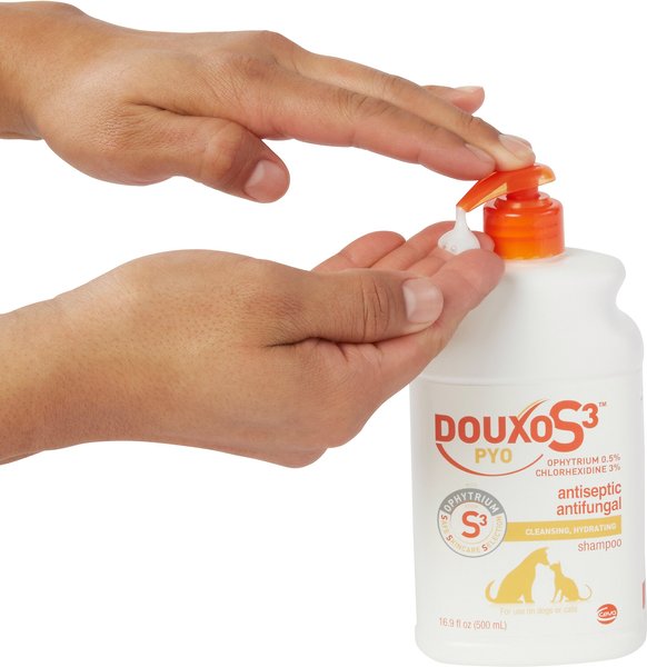 Show full view: Douxo S3 PYO Antiseptic Antifungal Chlorhexidine Dog & Cat Shampoo, 16.9-oz bottle slide 3 of 8