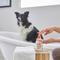 Show in main carousel: Douxo S3 PYO Antiseptic Antifungal Chlorhexidine Dog & Cat Shampoo, 6.7-oz bottle + PYO Antiseptic Antifungal Chlorhexidine Dog Mousse, 5.1-oz bottle slide 5 of 10