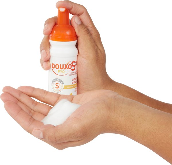 Show full view: Douxo S3 PYO Antiseptic Antifungal Chlorhexidine Dog Mousse, 5.1-oz bottle slide 3 of 8