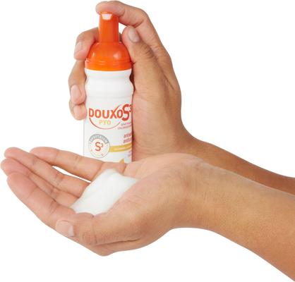 Show full view: Douxo S3 PYO Antiseptic Antifungal Chlorhexidine Mousse, 5.1-oz bottle + Dog & Cat Shampoo, 16.9-oz bottle slide 5 of 10