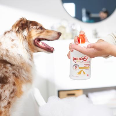 Show full view: Douxo S3 PYO Antiseptic Antifungal Chlorhexidine Mousse, 5.1-oz bottle + Dog & Cat Shampoo, 16.9-oz bottle slide 9 of 10