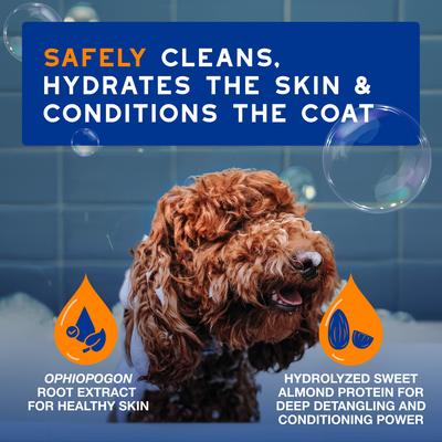 Show full view: Douxo Skin & Coat SPA Ultra-Safe 2 in 1 Conditioning Dog Shampoo, 16-fl oz bottle slide 4 of 11
