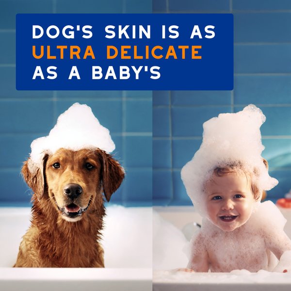 BarkLogic Sensitive Skin 2 in 1 Conditioning Tangerine Dog Shampoo, 16-oz bottle