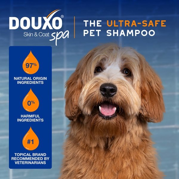 Douxo Skin & Coat SPA UltraSafe Detangling Spray, 10-fl oz bottle