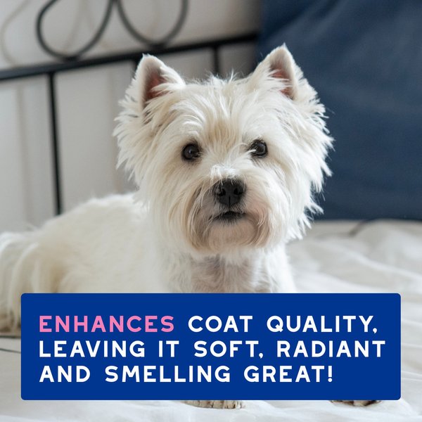 Show full view: Douxo Skin & Coat SPA Ultra-Safe Itch Relief Dog Shampoo, 16-fl oz bottle slide 8 of 10