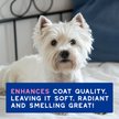 Show in main carousel: Douxo Skin & Coat SPA Ultra-Safe Itch Relief Dog Shampoo, 16-fl oz bottle slide 8 of 10