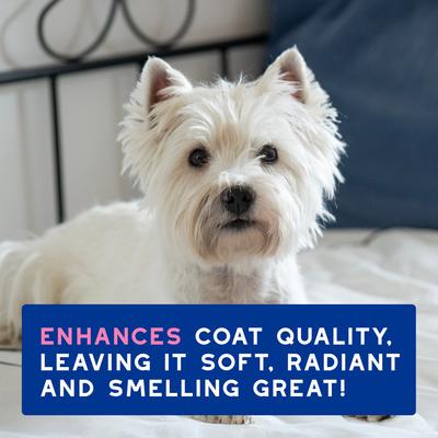 Show full view: Douxo Skin & Coat SPA Ultra-Safe Itch Relief Dog Shampoo, 16-fl oz bottle slide 9 of 11