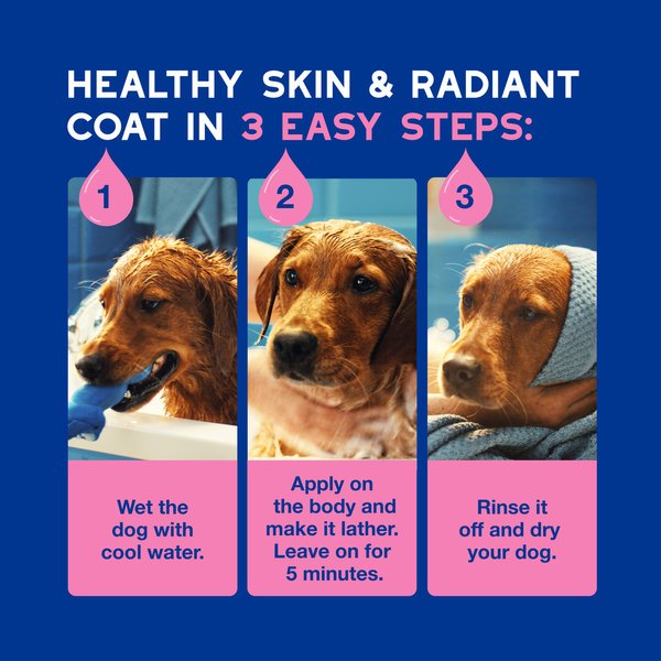 Show full view: Douxo Skin & Coat SPA Ultra-Safe Itch Relief Dog Shampoo, 16-fl oz bottle slide 7 of 10