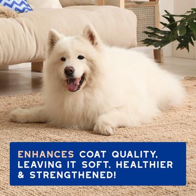 Show full view: Douxo Skin & Coat SPA Ultra-Safe Shed Control Dog Shampoo, 16-fl oz bottle slide 8 of 10