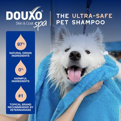 Show full view: Douxo Skin & Coat SPA Ultra-Safe Shed Control Dog Shampoo, 16-fl oz bottle slide 5 of 10