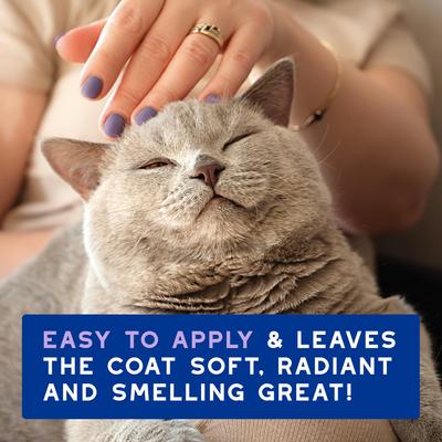 Show full view: Douxo Skin & Coat SPA UltraSafe LowStress Refresh Leave on Cat Mousse, 10-fl oz bottle slide 8 of 10