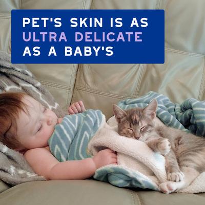 Show full view: Douxo Skin & Coat SPA UltraSafe LowStress Refresh Leave on Cat Mousse, 10-fl oz bottle slide 4 of 10