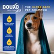 Show in main carousel: Douxo Skin & Coat SPA Ultra-Safe Oatmeal Dog Conditioner, 16-fl oz bottle slide 5 of 10