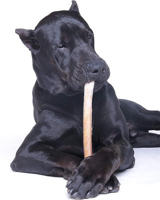 Show full view: Downtown Pet Supply 12" Bully Stick Dog Treats, 10 count slide 6 of 9