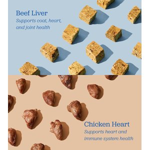 Downtown Pet Supply Barkery Chicken Hearts Grain-Free Adult Freeze-Dried Dog & Cat Treats, 4-oz bag