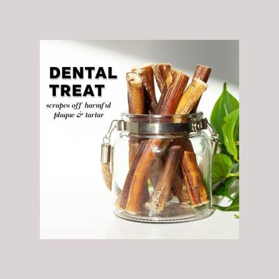 Show full view: Downtown Pet Supply Bully Sticks 6-in Jumbo Dog Treats, 10 count slide 6 of 8