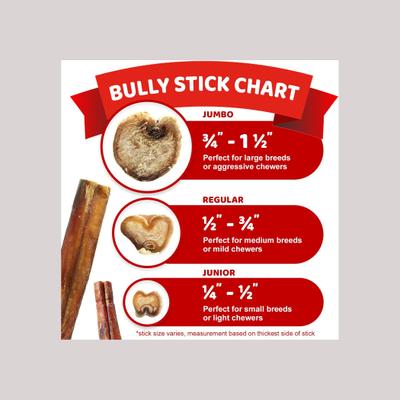 Show full view: Downtown Pet Supply Bully Sticks 6-in Jumbo Dog Treats, 10 count slide 7 of 8