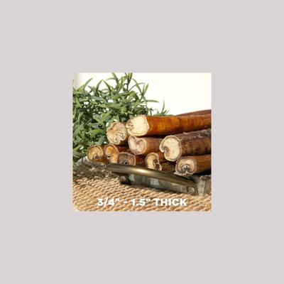 Show full view: Downtown Pet Supply Bully Sticks 6-in Jumbo Dog Treats, 5 count slide 5 of 8