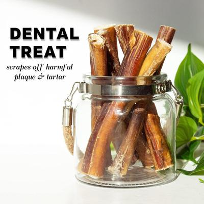 Show full view: Downtown Pet Supply Bully Sticks 6-in Jumbo Dog Treats, 5 count slide 6 of 8