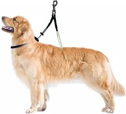 Downtown Pet Supply DTPS No Sit Haunch Dog Grooming Restraint, Small/Medium slide 2 of 3