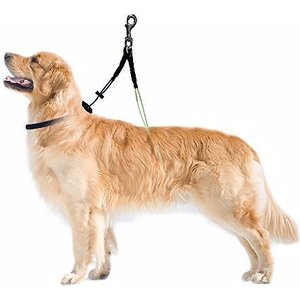 Downtown Pet Supply DTPS No Sit Haunch Dog Grooming Restraint, Small/Medium
