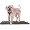 Show in main carousel: Downtown Pet Supply Pee Turf Portable Dog Potty Trainer, Green, 25-in slide 8 of 9