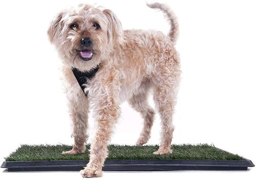 Show full view: Downtown Pet Supply Pee Turf Portable Dog Potty Trainer, Green, 25-in slide 8 of 9
