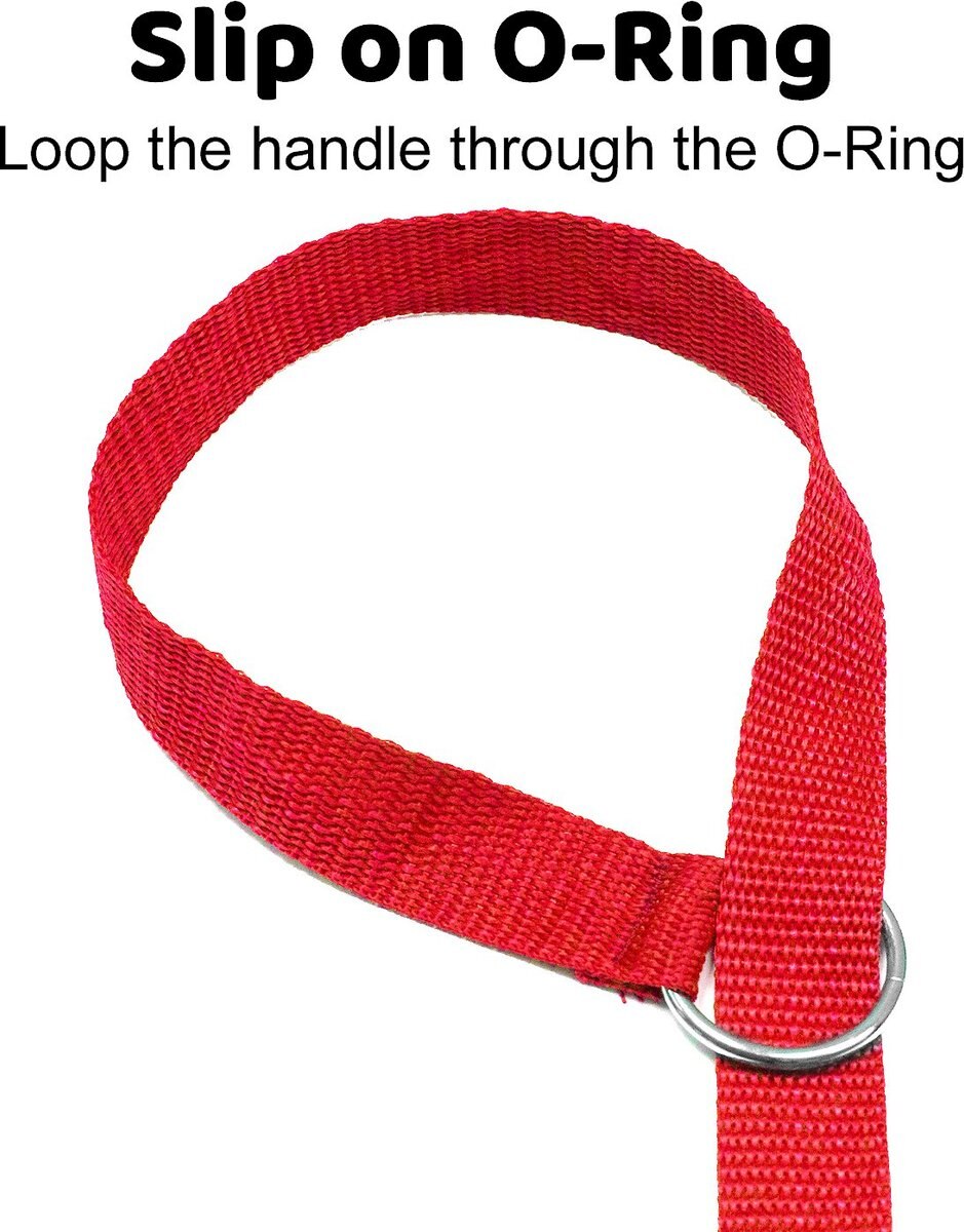 Downtown Pet Supply Slip Dog Leash, Rainbow