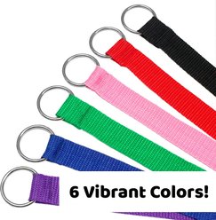 Downtown Pet Supply Slip Dog Leash, Rainbow, 4-ft, 6 count slide 2 of 5