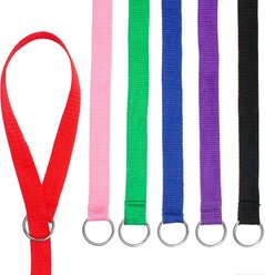 Downtown Pet Supply Slip Dog Leash, Rainbow, 6-ft, 24 count