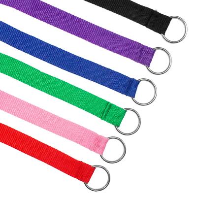 Show full view: Downtown Pet Supply Slip Dog Leash, Rainbow, 6-ft, 24 count slide 6 of 7