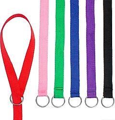 Downtown Pet Supply Slip Dog Leash, Rainbow, 6-ft, 6 count