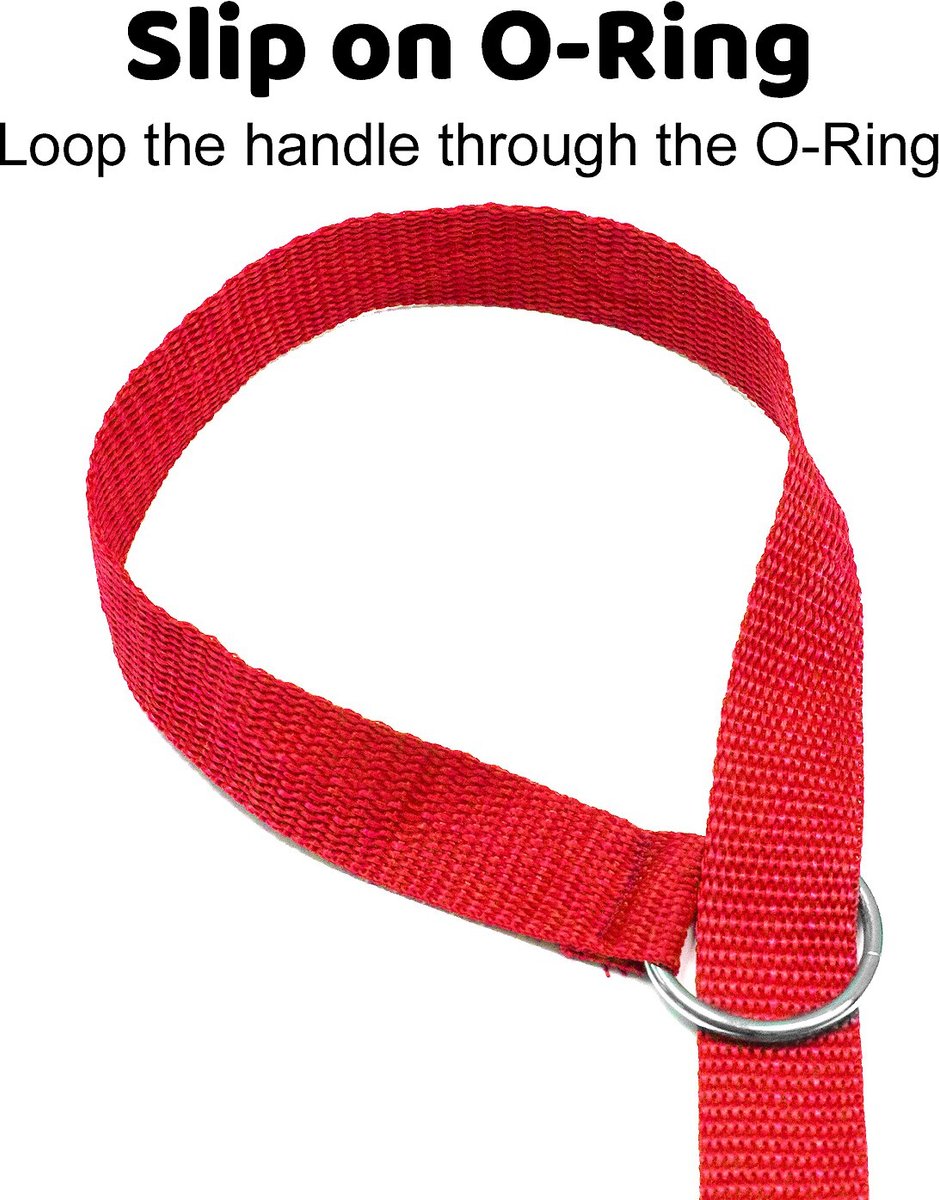 Downtown Pet Supply Dog Leash