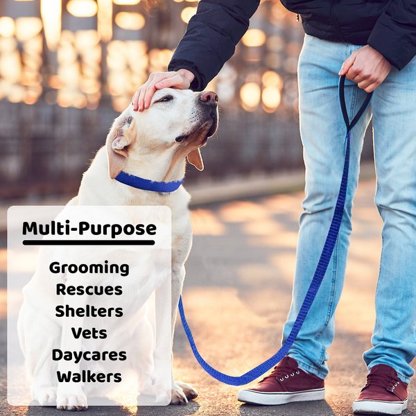 Downtown Pet Supply Rope Dog Leash