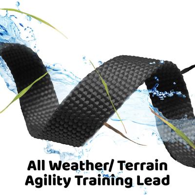 Show full view: Downtown Pet Supply Training Dog Lead, Black, 50-ft slide 4 of 7