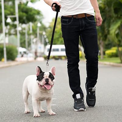 Show full view: Downtown Pet Supply Training Dog Lead, Black, 50-ft slide 5 of 7