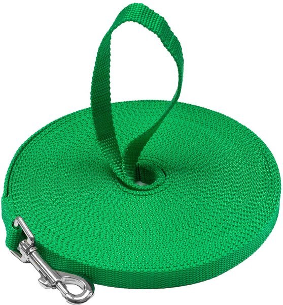 Downtown Pet Supply Training Dog Lead