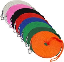 Downtown Pet Supply Training Dog Lead, Orange, 50-ft